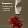 BEIGIC Classic Hand &amp; Nail Cream - Geranium, Sandalwood, Orange Zest Vegan Korean Handcream w/Shea Butter &amp; Panthenol, Fast-absorbing, Non-Greasy, Smooths Fine Lines,Hydrating (1.42 fl.oz)