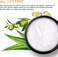 Hot Cream Sweat Workout Enhancer Gel - Fat Burning, Cellulite &amp; Firming Body Lotion for All Skin Types - 3.5 oz