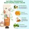 80 Pack Hand Cream Gift Set: Hand Lotion Travel Size, Teacher Appreciation Gifts, Hand Cream for Dry Cracked Hands, Mini Lotion Bulk, Small Gifts for Women Corworkers Nurse Birthday Party
