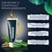 Varicose Veins Treatment   Natural Ayurvedic Cream for Legs with Ashwagandha   Spider Vein Removal Cream for Improved Circulation &amp; Relief from Heavy Fatigued Legs   Non-Sticky