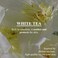 Lily Musk White Tea Perfumed Body Lotion, Daily Moisturizer, Body Lotion For Dry Skin &amp; Sensitive Skin, Non-Greasy, Slow Aging, Floral Musk Scent, Korean Skin Care