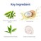 Ronas Stem Cell Coconut Rebalance Balm Anti Aging Cream Face Neck Moistureizer for Women Coconet oil Soothing and Powerful moisturization Shea butter Deep softening Korean Skin Care 3.3fl oz