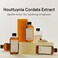 ONE THING Houttuynia Cordata Extract 10 fl oz   Vegan Soothing Calming Hydrating Facial Toner for Oily Acne Prone Skin   Korean Skin Care
