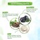 Mamaearth Activated Charcoal Face Wash   Controls Excess Oil &amp; Unclog Pores   Purifying Facial Cleanser   Mildly Exfoliates with Coffee   3.38 Fl Oz (100ml)