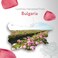 HBNO California Bottled Organic Rose Water for Face 4 fl oz (120ml) - USDA Certified Organic Rose Water Spray for Face - Pure Rose Water for Hair - Rosewater Face Mist, Rose Water Spray for Cleansing