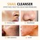 Snail Mucin Cleanser, Advanced Snail Mucin Gel Cleanser, Gentle Face Wash for Women and Men,Snail Facial Repairing Cleanser for Deep Cleaning, Ph-Balanced, Moisturizing,5.07 Fl Oz / 150 ML