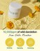 O&rsquo;Earth Mild Calming Vegan Toner Pad - Dual-Textured, Exfoliating, Soothing, Moisturizing with Dandelions &amp; Hyaluronic Acid, EWG Green Certified, 90 Pads