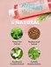 Vertty Tea Tree Vitamin Boosting Coral Toner   Hydrating, Brightening, Moisturizing, Redness Relief Facial Toner   Vitamin B12 Toner   Long-Lasting Hydration   Non-Comedogenic (8.4fl oz)