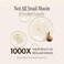 LABIOTTE Premium Snail Mucin Softener   Korean Skin Care Face Toner for Women &amp; Men w/ 86% Snail Mucin Essence   Hypoallergenic Facial Toner for Sensitive Skin   Hydrating Toner (5.07 fl oz), Clear