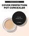 THESAEM Cover Perfection Pot Concealer #02 Rich Beige - High Adherence &amp; Coverage Balm, Conceals Blemish &amp; Acne Spots, Matte Finish Sebum Control for Oily and Combination Skin