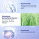 2-Step Oligopeptide Oil-Control Ampoule Mask (1.5ml+33mlx5 PCS) - Soothing &amp; Repairing Mask for Acne-Prone Skin, Paraben-Free, Alcohol Free