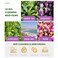 10 Pods Mud Mask Clay Mask Mini Face Mask Set with Silicone Mask Brush Pore Cleansing Blackhead Removal Hydrating Natural Skincare Beauty Gifts for Women &amp; Men, Travel Size 50g