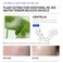 DEleventh Korean Brand Centella Asiatica Facial Mask 30ml &times; 5pcs / Antioxidant, Exfoliating, Elastic and Smooth, Deep Hydration, Skin Soothing, and Radiant Glow