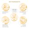 Korean Collagen Face Mask 15 PACK - 24K Gold Face Mask Skin Care - Premium Alternative to Korean Sheet Masks - Deep Collagen Mask For Face, Skin - Hydrating Face Masks Skincare - Korean Face Mask Set