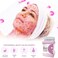 Jelly Mask for Facial Professional - Bulgarian Rose Smooth Face Mask Skin Care, Hydrated Nourished Jelly Mask Powder, Gel Peel Off Mask for DIY Spa Salon, 17.6Fl Oz