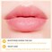 3 PCS Bee Lip Balm Lip Mask Honey Pot, Honey &amp; Strawberry &amp; Watermelon Lip Mask Overnight Moisturizing Honey Lip Balm, Sleeping Lip Mask Hydrating Prevention Dry &amp; Cracked Lip Scrubs Lip Care