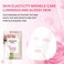 Face Mask Skin Care Anti Aging Facial Mask Sheets Mask Face Masks Beauty Rose Sheet Masks for Face Bulk Face Masks Skincare Facial Masks 10 Sheets