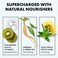 Hyaluronic Acid Face Serum - 2.5% Pure Hyaluronic Serum + 3% B5, Anti Wrinkle + Anti Aging Serum for Face with Vitamin C &amp; E, Aloe - Antiaging Hydrating Serum, Hylunaric Acid Serum