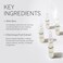 BABOR SOS Calming Ampoule Serum Concentrates, Soothing Serum to Treat Irritated Skin, Reduce Redness and Strengthen Skin Barrier, 7 Day Treatment