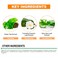 Epielle New Makeup Remover Cleansing Wipes Tissue - Cucumber 30 Count 6 Pack   Gentle for all Skin Types   Daily Facial Cleansing Towelettes   Removes Dirt, Oil, Makeup (Green Tea)