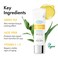AGE20'S UV Defense Hydro Calming Sunscreen SPF 60+   Korean Sunscreen   Moisturizing Creamy Formula, No White Cast, Lightweight Finish   Green Tea + Aloe Vera   Dermatest Excellent   1.69 fl.oz*2