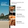 Brazilian Summertime Eau de Parfum for Women, Notes of Pistachio &amp; Lemon, Safe for Sensitive Skin, Luxury Fragrance By Modern Memory, 2.5 fl oz