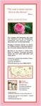 Rosense Glass Bottle Rosewater Hydrating Facial Toner/Rose Water Face Mist 1.7 Oz