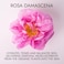 Alteya Organics Rose Water USDA Certified Organic Facial Toner, 2 Fl Oz/60mL Pure Bulgarian Rosa Damascena Flower Water, Award-Winning Moisturizer Amber Glass Spray Bottle