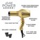 Gamma+ Absolute Power and Absolute 2000 Professional Tourmaline Ionic Unisex Hair Dryer with 2 Concentrator Nozzles