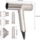 High-Speed Hair Styler and Drying Brush - 110000 RPM Hot Air Brush with Diffuser, Concentrator Attachment, and Oval Curling Wand (silver)