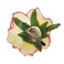Women's Vintage Elegent Rose Flower Hairpin Hair Clip with Brooch for Party Travel Festivals (Purple)