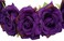 Sanrich Rose Flower Crown Headband (purple, Fake Flower, Maternity Photoshoot, Realistic Hair Wreath, Women, 1 count)