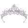 ANBALA Tiara Crystal Crown Silver Tiaras for Women Princess Crown for Women Girls Crowns for Birthda, Halloween, Wedding Prom, Bridal Party, Pageant