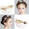 NODG Gold Tiaras for women Pearl Bride Crowns Wedding Headpiece Gold Flower Bridal Hair Piece Princess Leaf Headdress Birthday Party Prom for Women