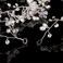 Bridal Wedding Hair Accessories Long Pearl and Crystal Beads Hair Vine Wedding Headband,2 PCS of Crystal Rhinestone Hair Pins,1 Pack Jewelry Hair Headpiece for Brides Bridesmaids Women Girls (Silver)