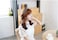 LOVEF Acrylic Rhinestone Crystal Headband Hair Band Aliceband with Teeth Girls Women Fashion (White)