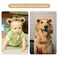 SIOTMERA Headband Bear Ears Brown, Cute Care Hairband Adult with Toddler Animal Costume, Soft Makeup Head Wear for Washing Face Women, Fluffy for Party Celebration Cosplay
