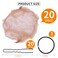 WeKen Hair Bun Accessories Set, 20PCS 20" Individual Package Invisible Hairnets, 20PCS U Shape Hairpin, 5PCS High Elastic Hair Bands for Women Girls Dance Ballet Hair Accessories Kit Light Brown
