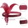 1 Pcs 1920s Flapper Headpiece Red Feather Headband Roaring 20s Gatsby Hair Accessories (Red)