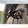 Parcelona French Infinity Brown Tortoise Shell Hair Slider Pin Thru Barrette Clip with Stick for Fine Hair Women and Girls