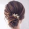 JAKAWIN Bride Wedding Pearl Hair Pins Rhinestone Flower Hair Piece Dressy Bridal Hair Accessories for Women HP065 (Gold)