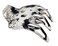 Parcelona French Paw White Black Wide Side Slide In Jaw Yoga Hair Claw Clip (White Black)