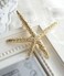 yueton Pack of 4 Nice Hollow Starfish Beach Sea Star Hairpin Hair Clips Accessories Barrettes Bobby Pin Wedding Bridesmaids Bridal Headwear Headdress