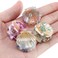 Lurrose Seashell Hair Claw Clips - Small Shell Jaw Clips, Mini Beach Hair Accessories for Mermaid Costume