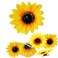 6PK Fashion Sunflower Hair Clip Simulation of Daisy Salon Clip Large Sectioning Clips Hair Alligator Hairpin Clamp Barrettes Styling Accessories for Girls and Women Ladies Headwear Styling Tools