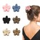 Plumeria Flower Hair Claw Clips,6 Pcs Matte Flower Hair Clips Claw for Women Thick Thin Hair Accessories,Medium Hair Clamps Hair Barrettes Non Slip Strong Hold Jaw Clips for Mother Women Girls Gifts