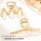 CASDRE Metal Hair Claw Clips Gold Large Hair Clips Non Slip Hair Catch Barrette Jaw Clamps Fashion Strong Hold Hair Accessories for Women (Pack of 2)