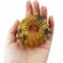 NSBELL 12PCS Birds Nest Hair Clips Hair Claw Clamps Bun Makers Expandable Ponytail Holder Comb Hair Bands Hair Accessory for Women Girls