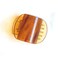 Super Clamp&reg; Jaw Clamp Hair Clip Barrette Strong Hair Accessory for Women, Teens, Students, Updos, French Twists - Large Size Tortoise