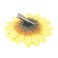 6 PCS Sunflower Hair Alligator Clips Barrettes Hairpin Hair Clips Lady Girls Party Styling Accessories for Beach Summer Party